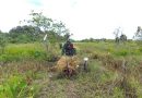 Babinsa Tanjung Selor Timur Bantu Petani Panen Dan Angkat Padi