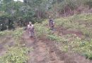 Babinsa Desa Gunung Sari Pendampingan Petani Cabe Ori dalam Penyemprotan Gulma