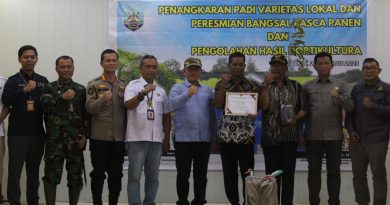 Dandim 0903/Bulungan Hadiri Panen Perdana Penangkaran Padi Varietas di Desa Wonomulyo